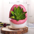 WHJY Sexy Lips Planter pot, Ceramic Succulent planter - Pink by WHJY
