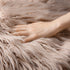 Ashler Faux Fur Rug, Fluffy Shaggy Area Rug, Ultra Soft 2 x 2.9 Feet Rectangle Beige Fuzzy Rug, Machine Washable Shag