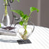Bulb Marbrasse Desktop Glass Vase, Glass Vases for Holder, Creative Bird with Heart Planter Vase, Plant Terrarium Metal