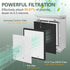 LV-PUR131 Replacement Filters, 3 Pack True HEPA and Activated Carbon for LEVOIT Air Purifier Models