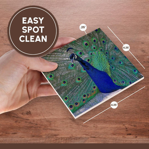 3dRose CST_154797_4 Bright Blue Peacock Ceramic Tile Coasters - Set of 8 with Colorful Plummage