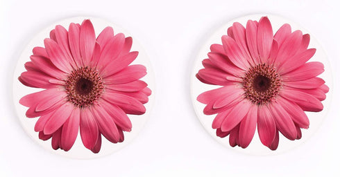 Pink Daisies 2.75 x 2.75 Absorbent Ceramic Car Coasters, Pack of 2