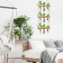 (9 XXXFLOWER Wall Hanging Propagation Station with Wooden Stand Glass Test Tubes Tiered Planters Wall Terrarium