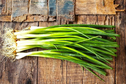 300 Bunching Green Onion Seeds Scallions About Non-GMO Seeds for Planting