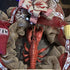 Fun Express Plastic Lobster Luau Party Decor Accents, Red, 1 Piece