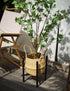 8 to12 inches 1 Pack, Plant Stand, Indoor Plant Stand Adjustable for Plant Pot, Metal Plant Stands For Indoor Plants