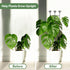 32in 2p Large Indoor Plant Trellis for Climbing Plants, Expandable Metal Garden Trellis for Potted Plants, Tall Plant