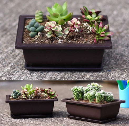 Yesland 6 Pack Bonsai Training Pots - 9 Inches Classic Deep Humidity Trays with Built-in Mesh for Bonsai Plants