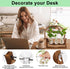 3 Bulb YIBOT Propagation Stations,Plant Terrarium with Retro Wooden Stand, Unique Gardening Birthday Gifts for Women