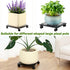1 Pack 13.5" Metal Square Plant Caddy with Wheels Large Iron Rolling Plant Stand with Casters Heavy-Duty Plant Dolly