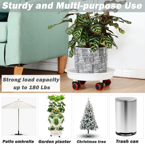 6 Packs 11.8 inches Large Plant Caddy Plant Saucers on Wheels Rolling Plant Stands Heavy-Duty Plant Dolly Plastic