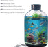 Universal Humidifier Cleaning Fish 6 Pack, Purify Water, Soften Hard Water, Prevent Hard Water Build-Up