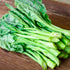 93% Gaea's Blessing Seeds - Gailan Seeds - Non-GMO Seeds with Easy to Follow Planting Instructions - Chinese Broccoli