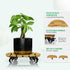 12 Inch 14 Inch 360 264 lbs Idzo Combo and Acacia Wood Rolling Round Planter Caddies for Plant Pots, Heavy Duty Plant