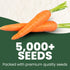 126 5,000 2026 5 Carrot Danvers Premium Seeds for Planting Classic, Reliable Heirloom Variety for Strong, Sweet Roots