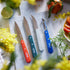Opinel Les Essentials - Small Kitchen 4 Piece Knife Set, Corrosion Resistant High Carbon Steel (Primo)