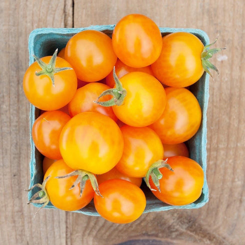 75, Organic Tomato Seeds, APPR. Gold Nugget Cherry Tomato, Heirloom Vegetable Seeds, Certified Organic, Non GMO, Non