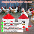Set, 13 lb 2 Chicken Feeder and Waterer No Waste Automatic Chicken Feeder Bucket & Gallon Gravity Chicken Waterer
