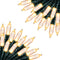 Brightown Battery Operated Christmas String Lights, 8ft 20 LED Mini Lights with