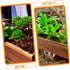Wood Flower Box Cedar Window Boxes - Tiestos para Exterior Indoor Flower Pots for Outdoor Plants Fence Planter