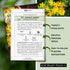 Packet (1) Sow Right Seeds - St Johns Wort Seeds for Planting - Non-GMO Heirloom with Instructions to Plant & Grow an