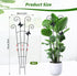 2 Pack 30 Inch Taller Plant Trellis for Potted Climbing Plants Indoor,Expandable Metal Garden Trellis for Climbing