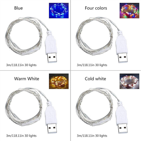 Fidt 9ft 30 LED USB String Lights - Silver Wire Fairy Lights for Wedding, Party, Christmas & Festival Decorations