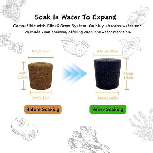 YDKYD 20pcs Grow Sponges, Seedless Replacement Seed Pods Compatible with Click and Grow Smart Garden, Refill Seed