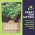 Pack 16 Packs 2026 Organic Herb Seeds Variety - Individual - Season - Basil, Cilantro, Dill, Thyme, Parsley and More!