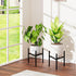 8"-12" 9.5" 2 Pack Plant Stand Indoor Adjustable Pot Holders, Metal Plant Stand Outdoor, Anti-Rust Black Metal Plant