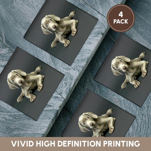 3drose Weimaraner Puppy Ceramic Tile Coaster, Set of 4