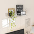 9 Inches 2 Pack, Plants(9 inch, Sezanrpt Acrylic Wall Shelves Floating Shelf for Wall Mounting, Acrylic Display Ledges
