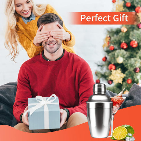 Newness Stainless Steel Cocktail Shaker - Professional Drink Shaker with Built-in Strainer, 8.4oz (250ml) for Easy Carry