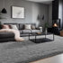 6x9 Zentavio Area Rugs for Living Room Large Rugs for Bedroom Carpet Fluffy Furry Soft Shag Aesthetic Plush High Pile