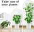 4 Pack 30 Inch,Rustproof ZOUTOG Trellis for Climbing Plants Indoor Metal Garden Trellis for Potted Plants,Houseplant