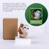 Cute Baby Sloth Birthday Candle for Party and Baby Shower Decorations