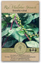 Gaea's Blessing Seeds - Red Malabar Spinach Seeds - Non-GMO Seeds with