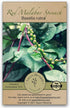 Gaea's Blessing Seeds - Red Malabar Spinach Seeds - Non-GMO Seeds with