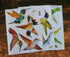 Anti-Collision Window Clings Bird Alert Decals to Prevent Bird Strikes on Glass - Set of 12 Hummingbirds