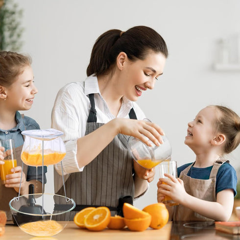 4 Jelly Strainer Stand With Reusable Staining Bags, Stainless Steel Stand With Replacement Bags for Straining Juice