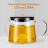 Glass Teapot 51oz/1500ml with Removable Stainless Steel Infuser, Heatproof Borosilicate Glass Tea Kettle