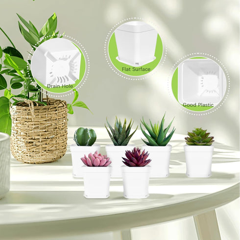 24Pcs 3" Anyumocz Square Plastic Plant Pots,White Nursery Pots with Saucers,Seedling Nursery Transplanting Planter