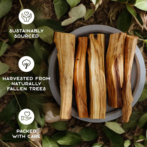 Purple Canyon Palo Santo Incense Sticks - 8 Pack, Sustainably Harvested Natural Incense for Smudging, Meditation,
