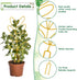 Mozeat Lens 2 Pack 12'' Metal Trellis for Potted Plants, Small Leaf Shape Plant Climber Supports Mini Garden Trellis