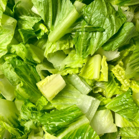 Lindsay Seed (2300 Romaine Lettuce Seeds (Parris White Cos) Seeds)