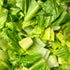 Lindsay Seed (2300 Romaine Lettuce Seeds (Parris White Cos) Seeds)
