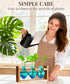 3 Bulb Nacome Plant Terrarium Propagation Stations: Mothers Day Gifts for Mom Plant Lovers Women Wife Daughter - Glass
