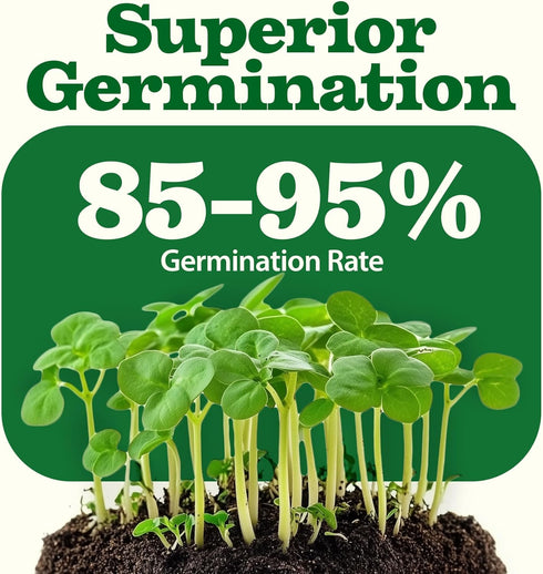 55 Pack 28,000+ HOME GROWN Vegetable Seeds Non-GMO Heirloom Seeds for Planting Vegetables, Survival Seed Vault, Garden