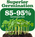 55 Pack 28,000+ HOME GROWN Vegetable Seeds Non-GMO Heirloom Seeds for Planting Vegetables, Survival Seed Vault, Garden