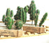 FagusHome Artificial Cactus Decor - Faux Cactus Plant Fake Succulents, 4 Pieces Unpotted Indoor Décor